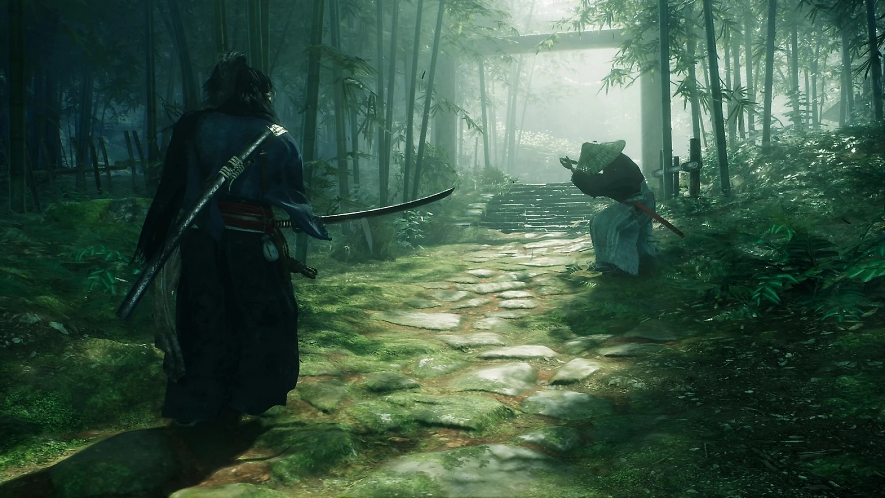 image du jeu Rise of Ronin