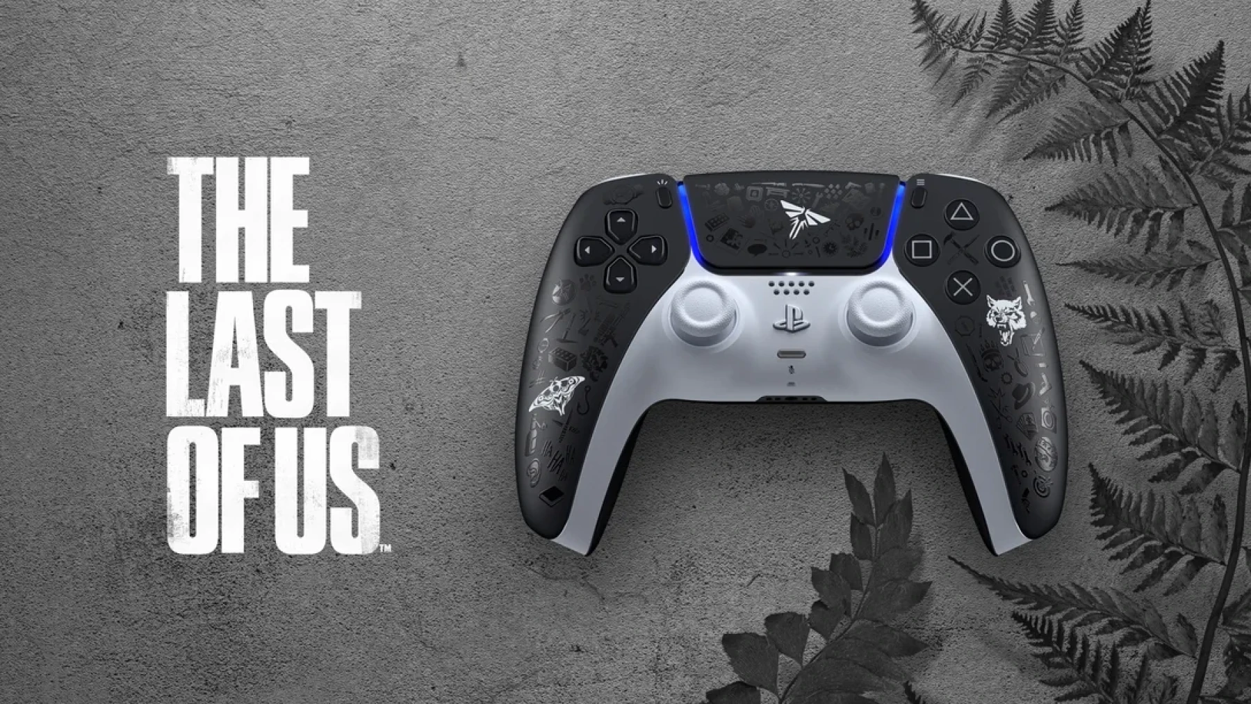 Image manette PS5 The Last Of Us