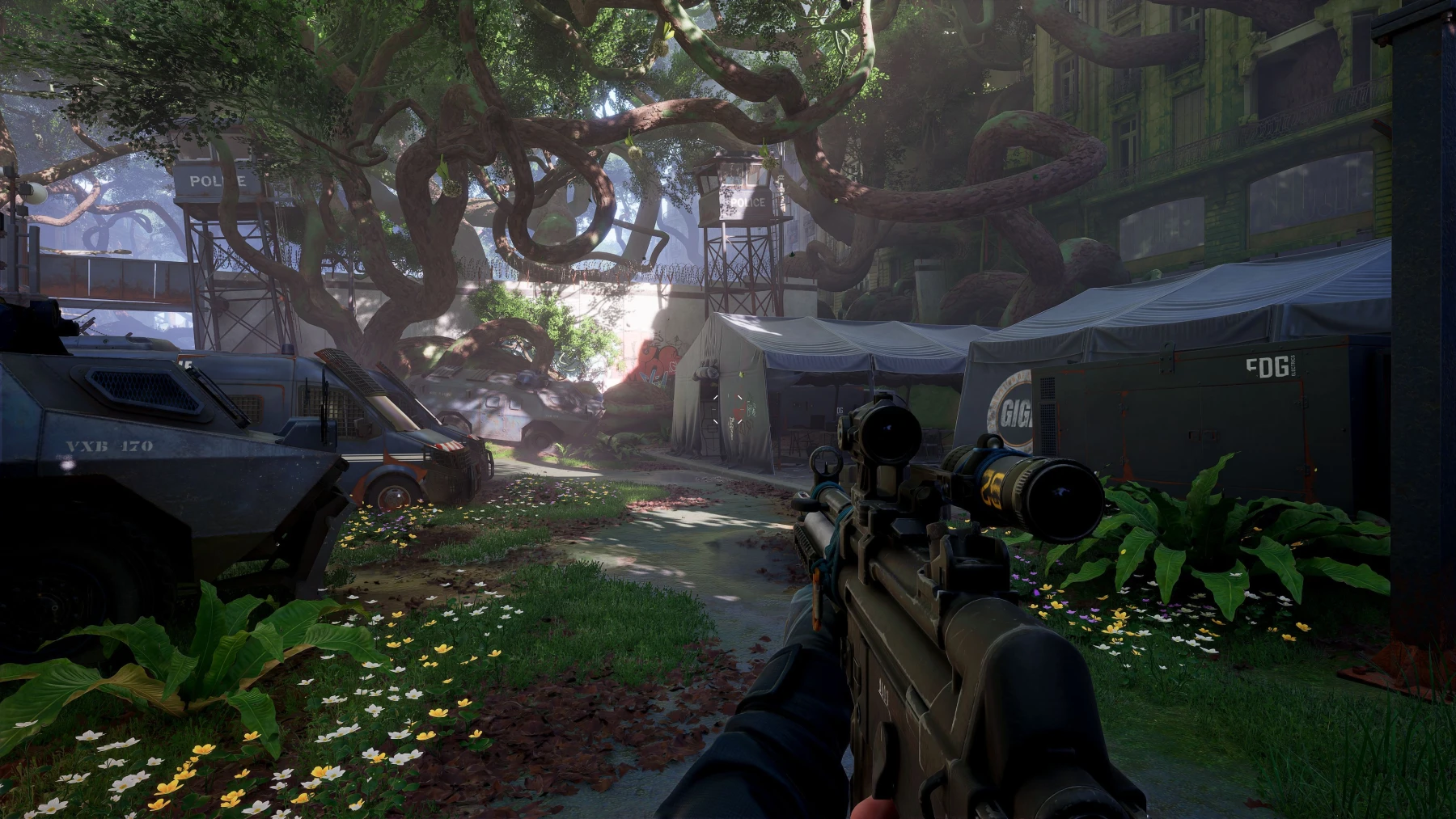 Forest Reigns Forest Reigns