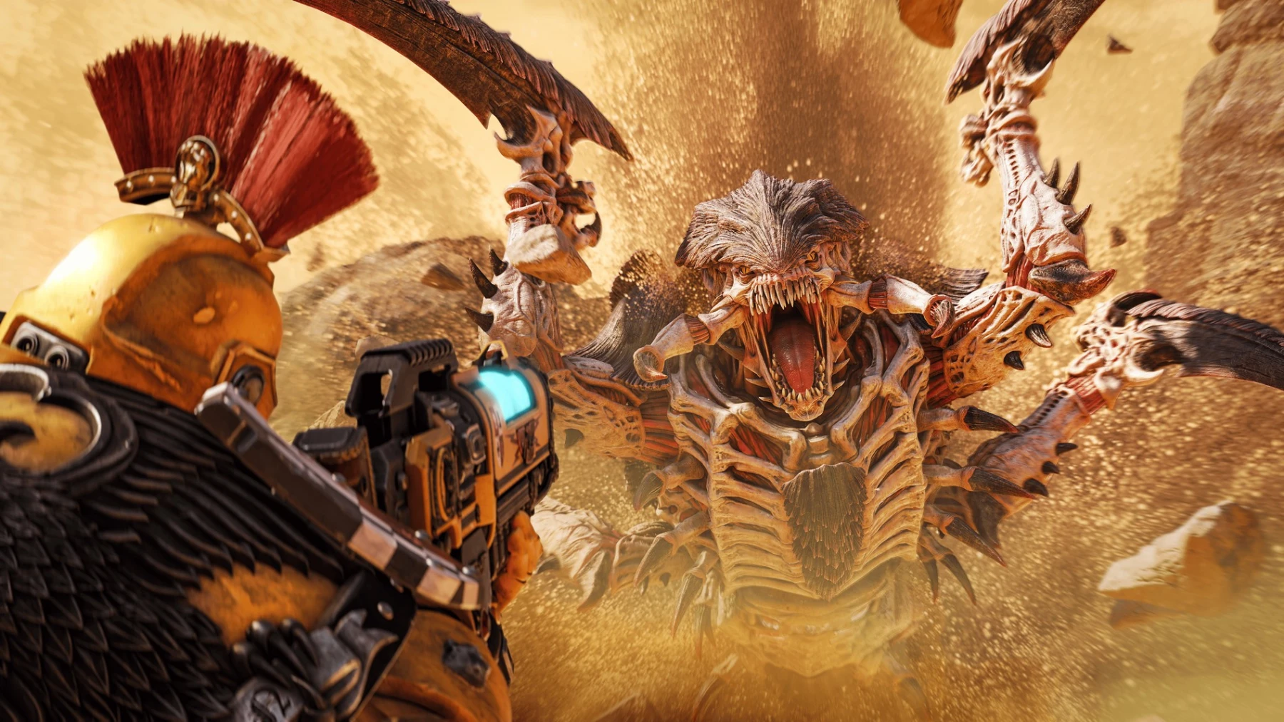 The Trygon Update The Trygon Update