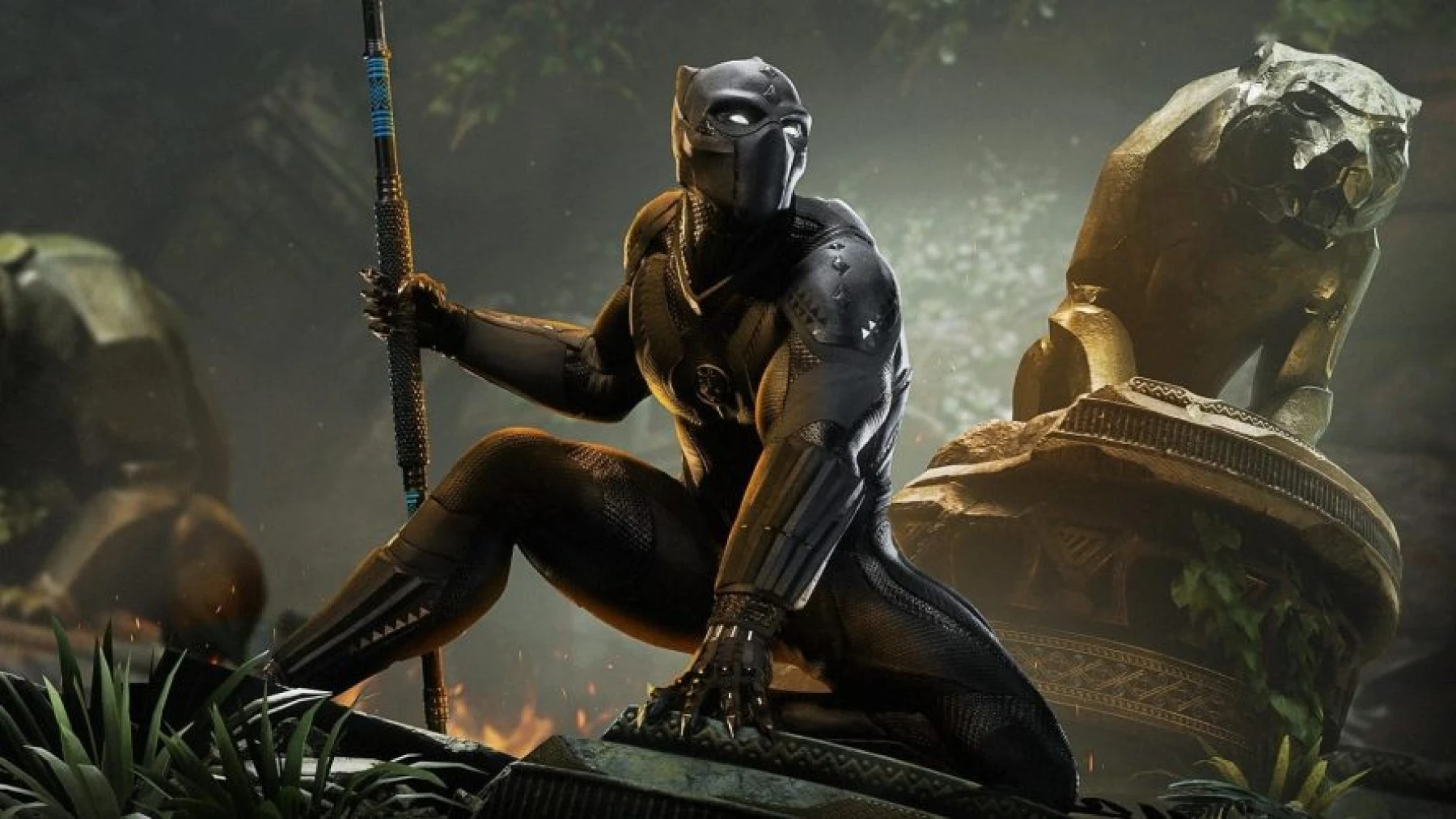 Image du jeu Black Panther 