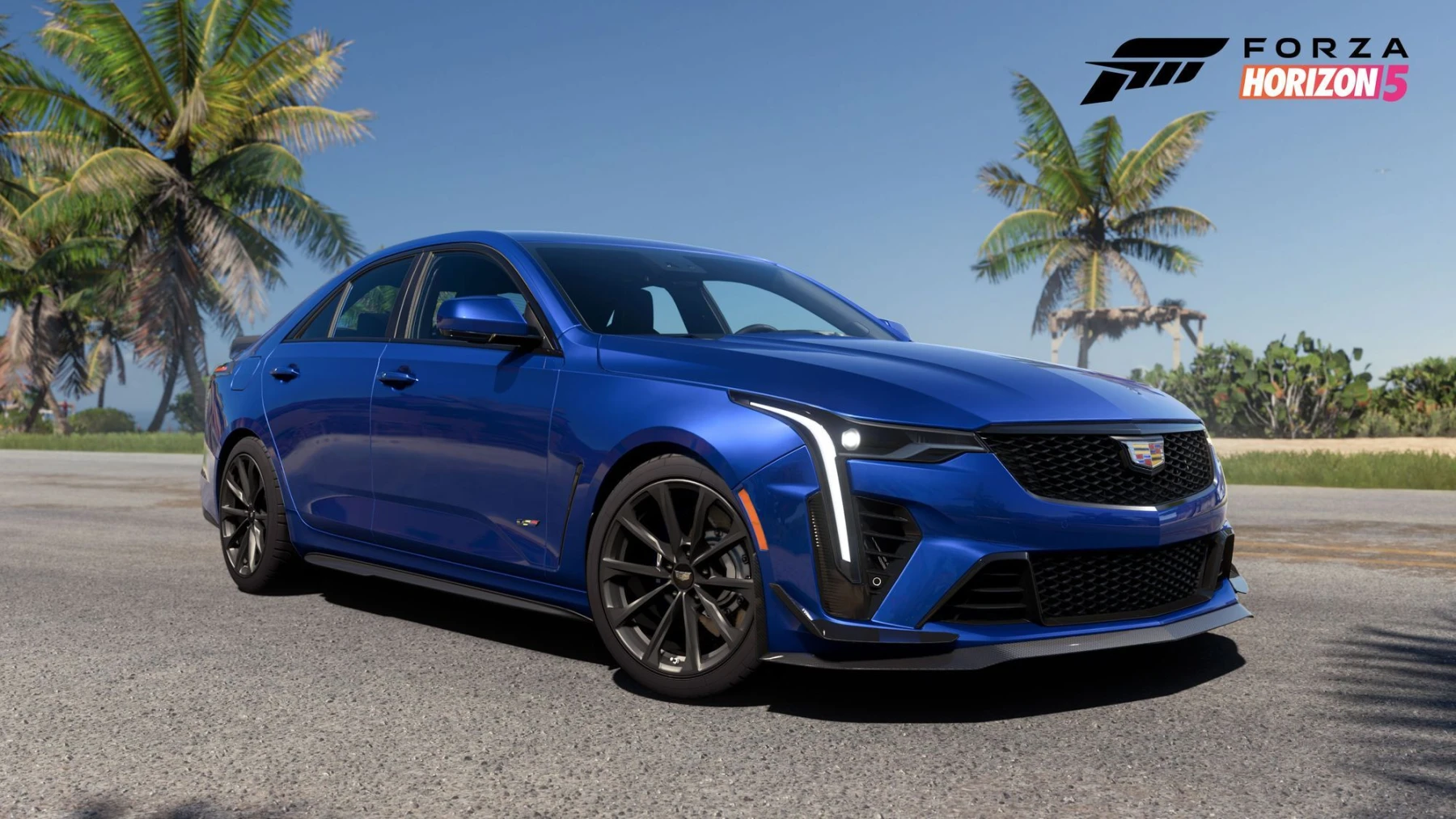 image du jeu Forza Horizon 5