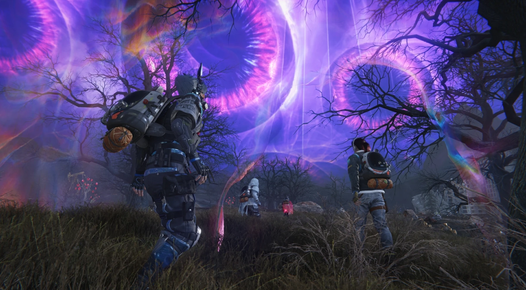 Wonder Dawn 2.0 Wonder Dawn 2.0