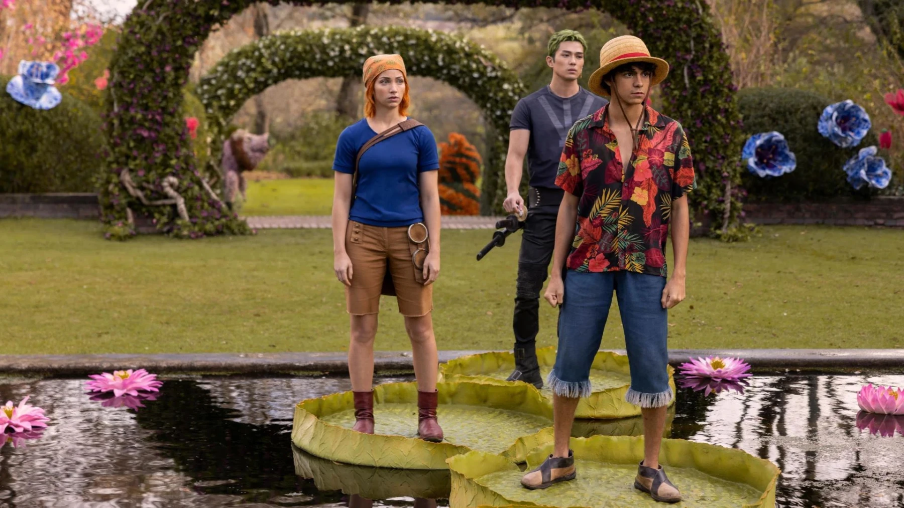 image de la série One Piece