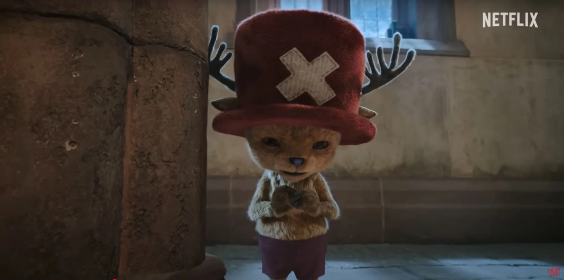 image de la série One Piece