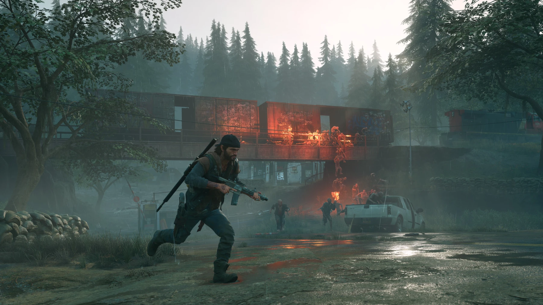 Image du jeu Days Gone