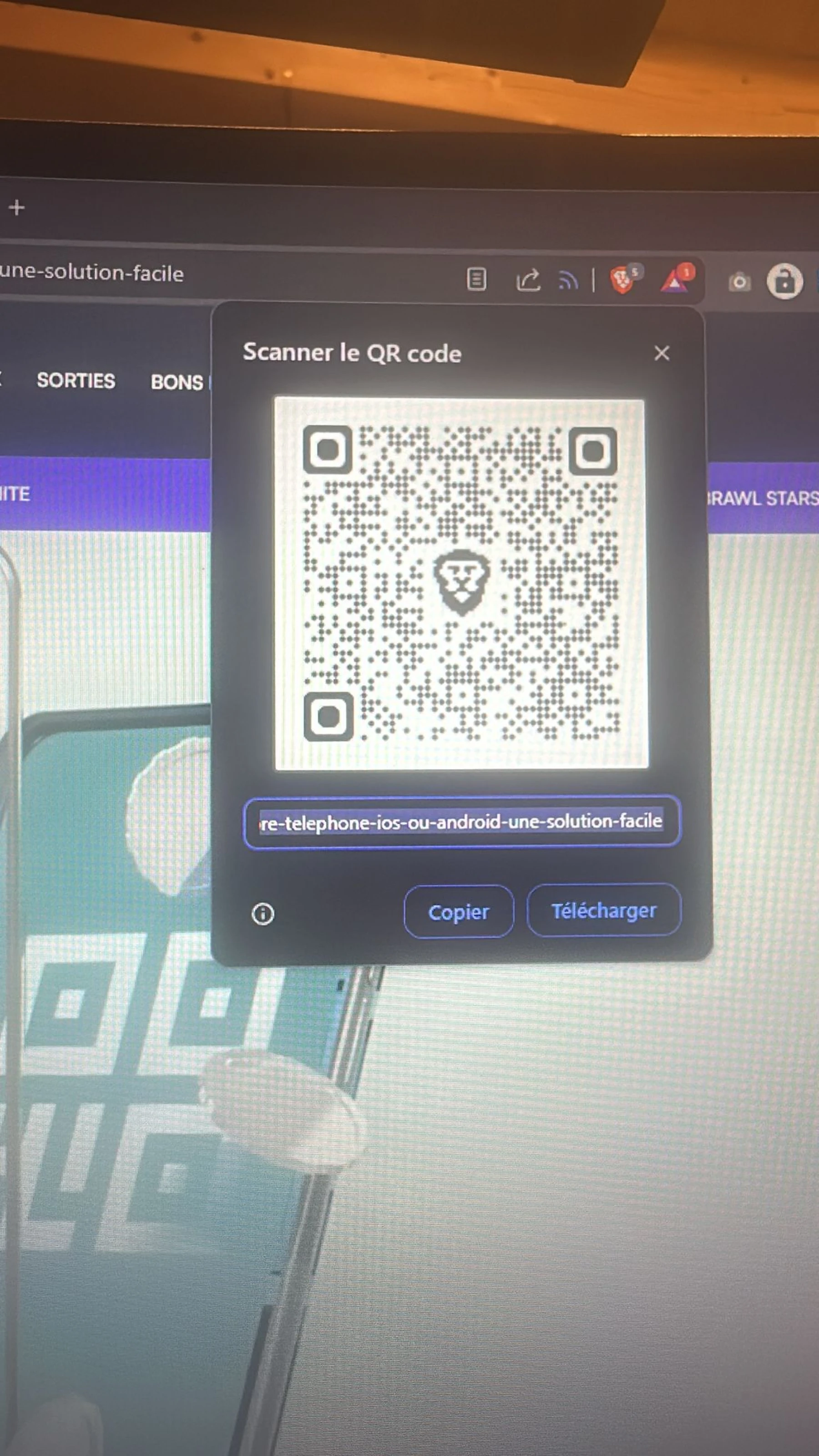 QR Code vitrine