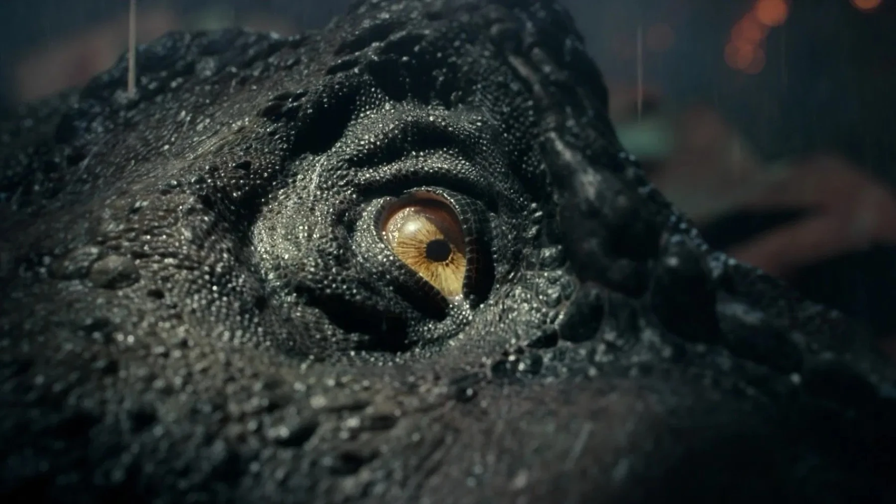 Jurassic World : le monde d’après image du film Jurassic World : le monde d’après