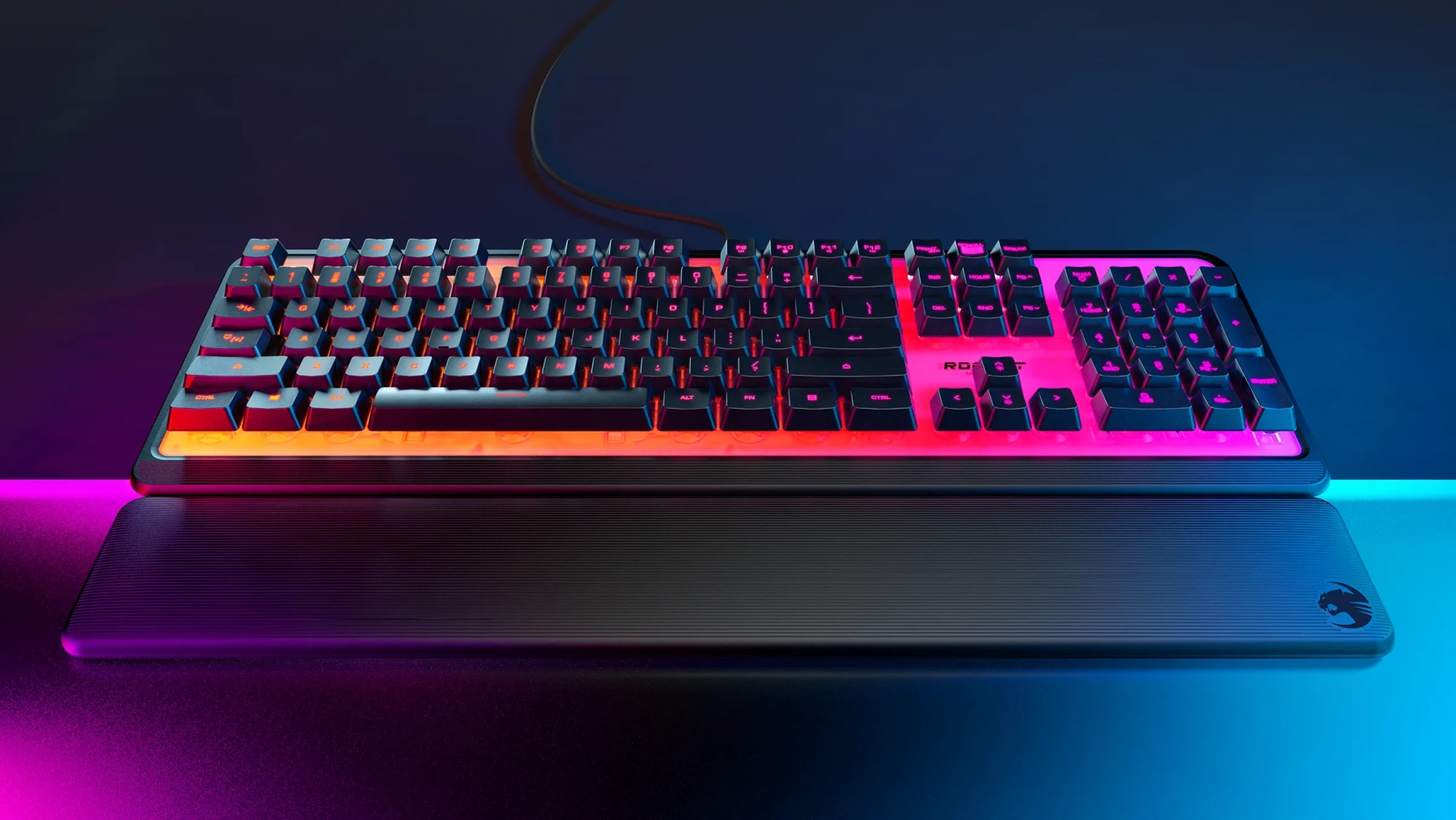 Image du Turtle Beach Magma