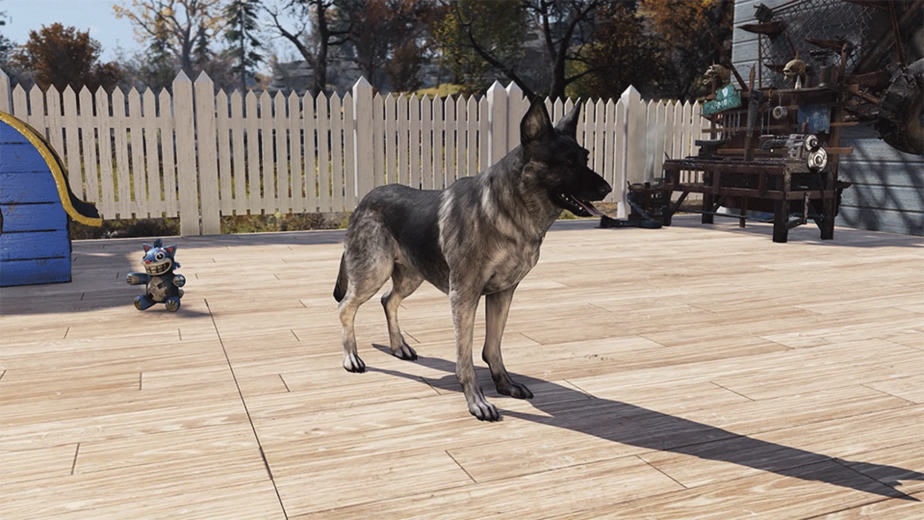 Bergers sable de Fallout 76 Bergers sable de Fallout 76