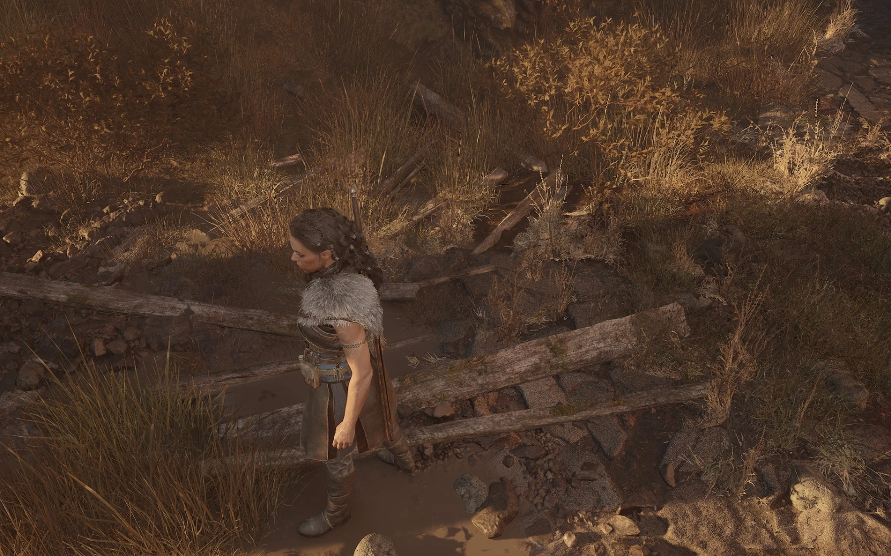 Test Echoes of the End