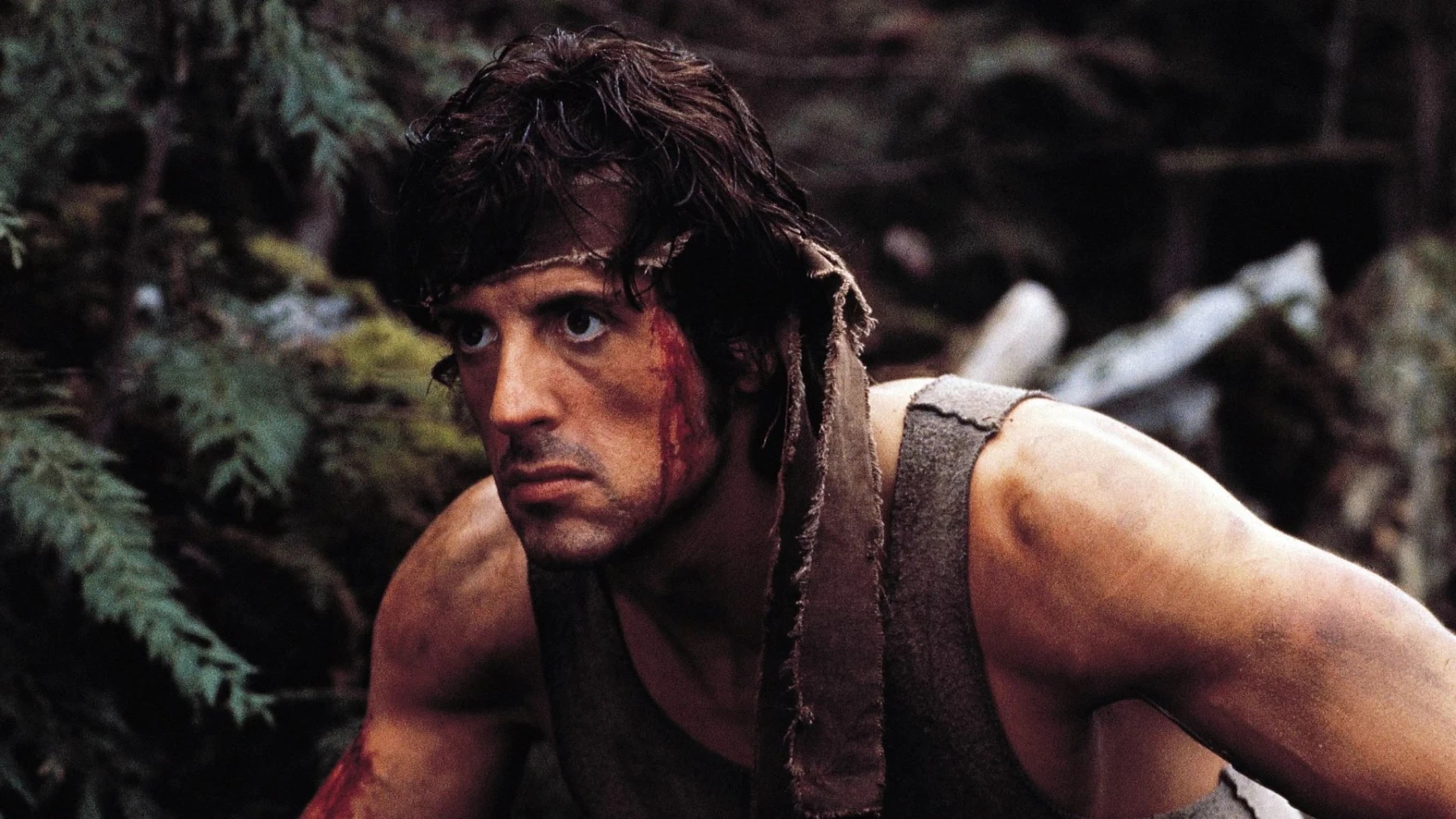 Rambo image du film Rambo