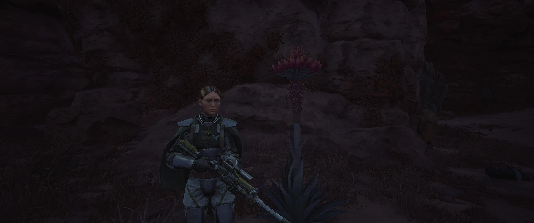 Graine d'Agave Dune Awakening