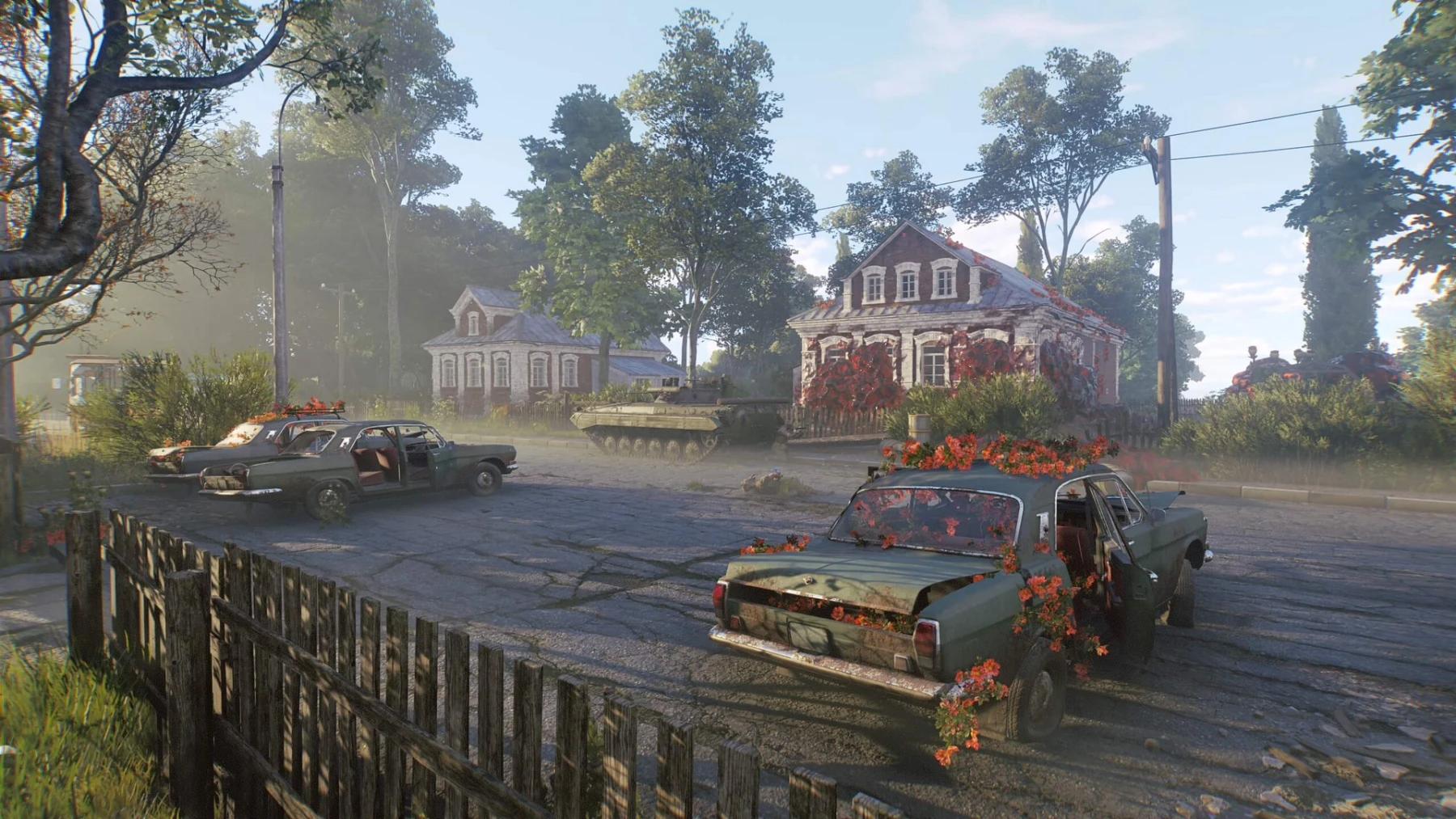 Active Matter - Environnement