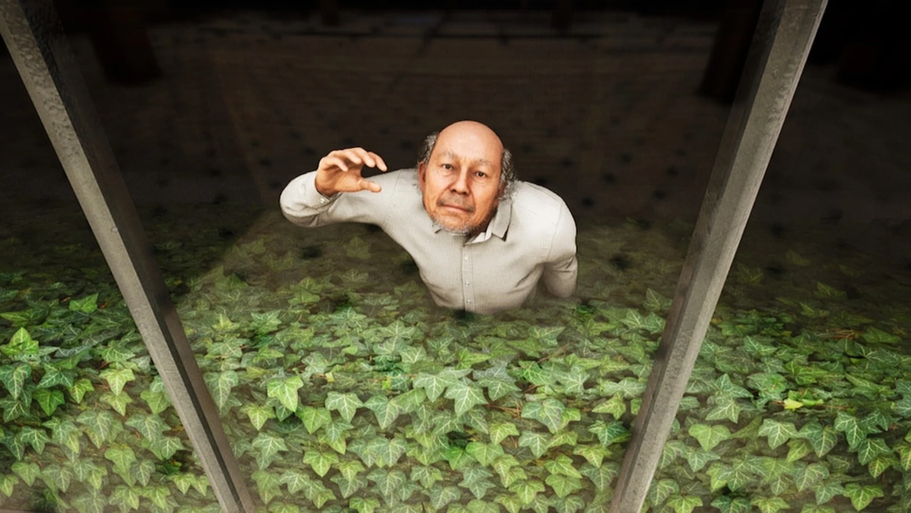 Before Exit Supermarket - Patron