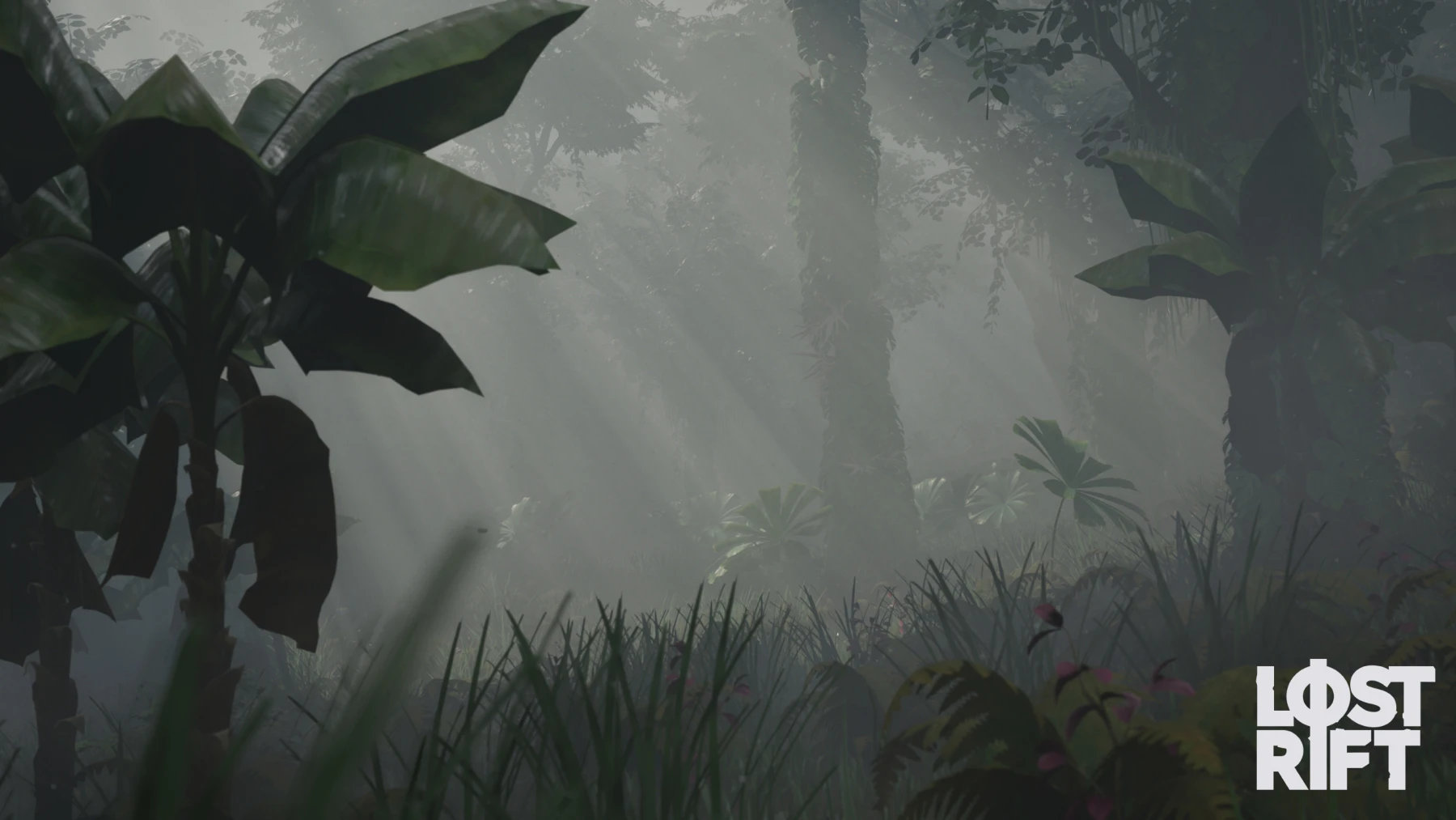 Lost Rift - Fog