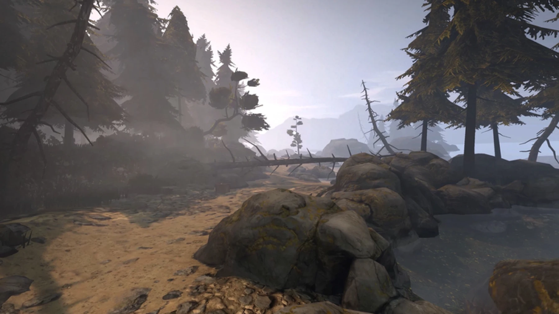 Image de TRACKED: Shoot To Survive Image de TRACKED: Shoot To Survive