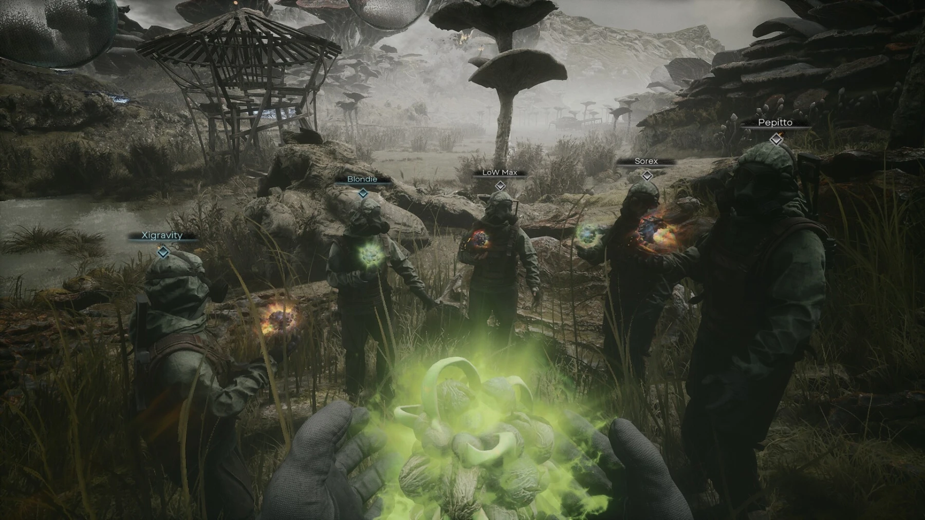 Image du jeu PIONER Image du jeu PIONER