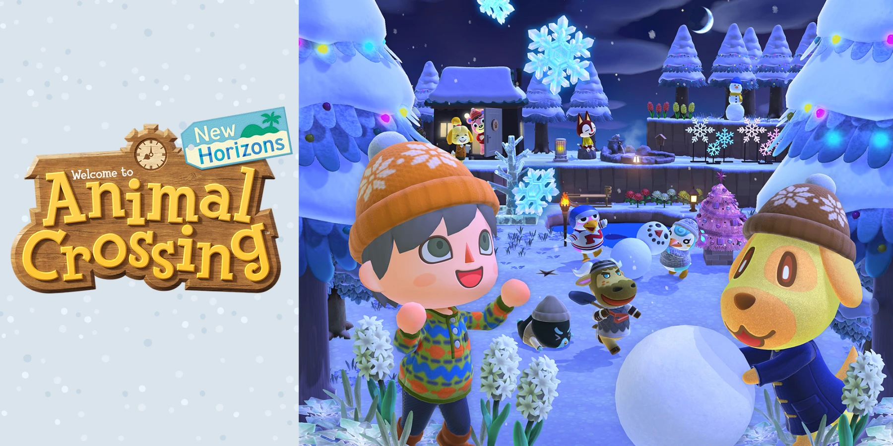 image de Animal Crossing New Horizons