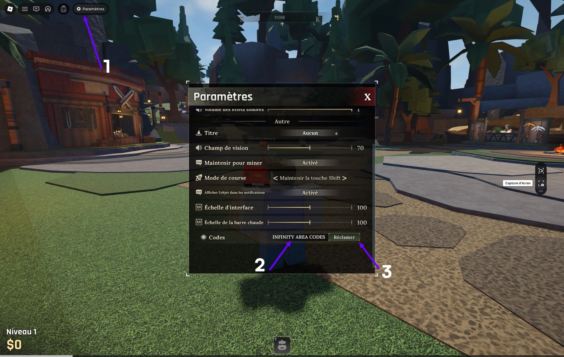 Image en jeu de comment activer un code Roblox The Forge