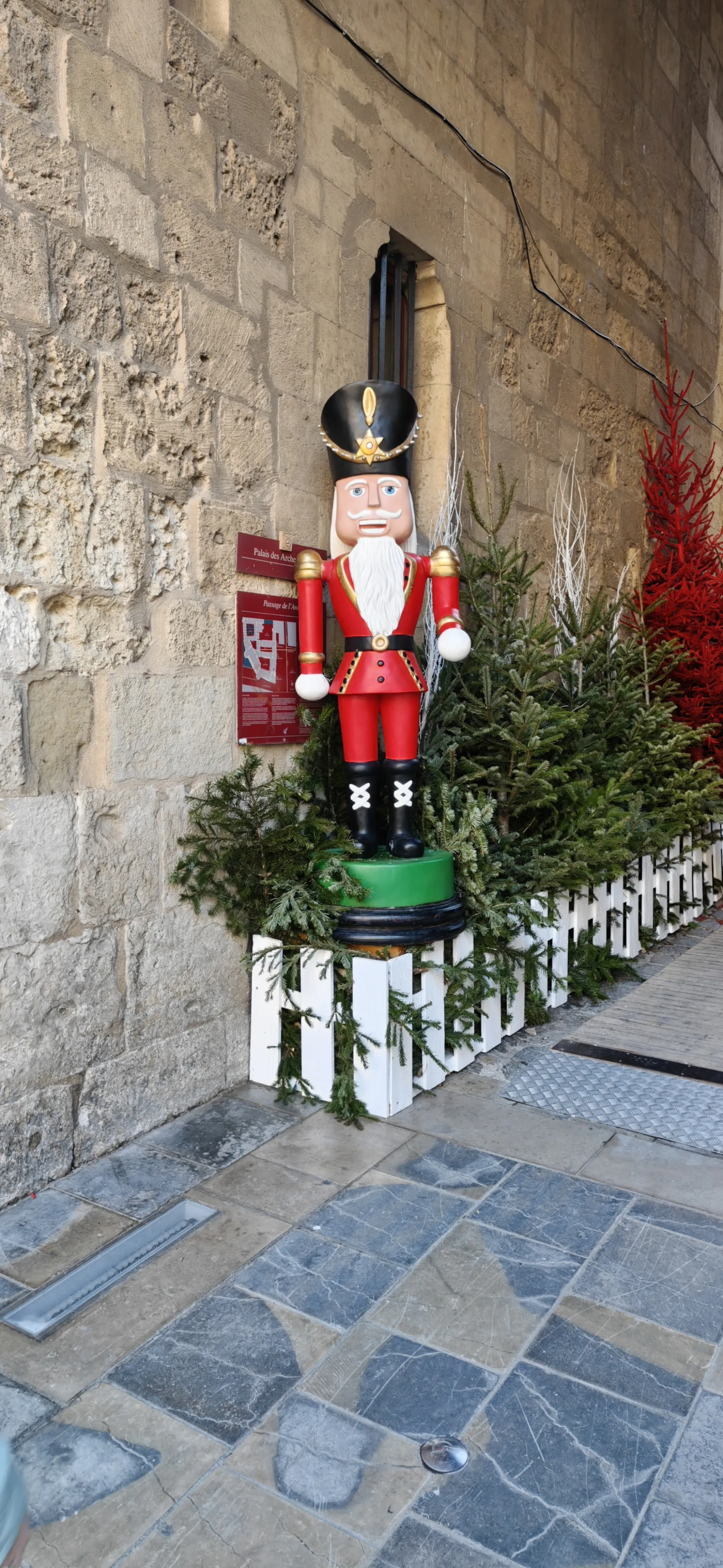 Photo de jour - Portrait