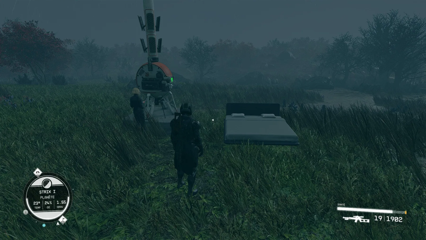 Sarah Morgan Starfield