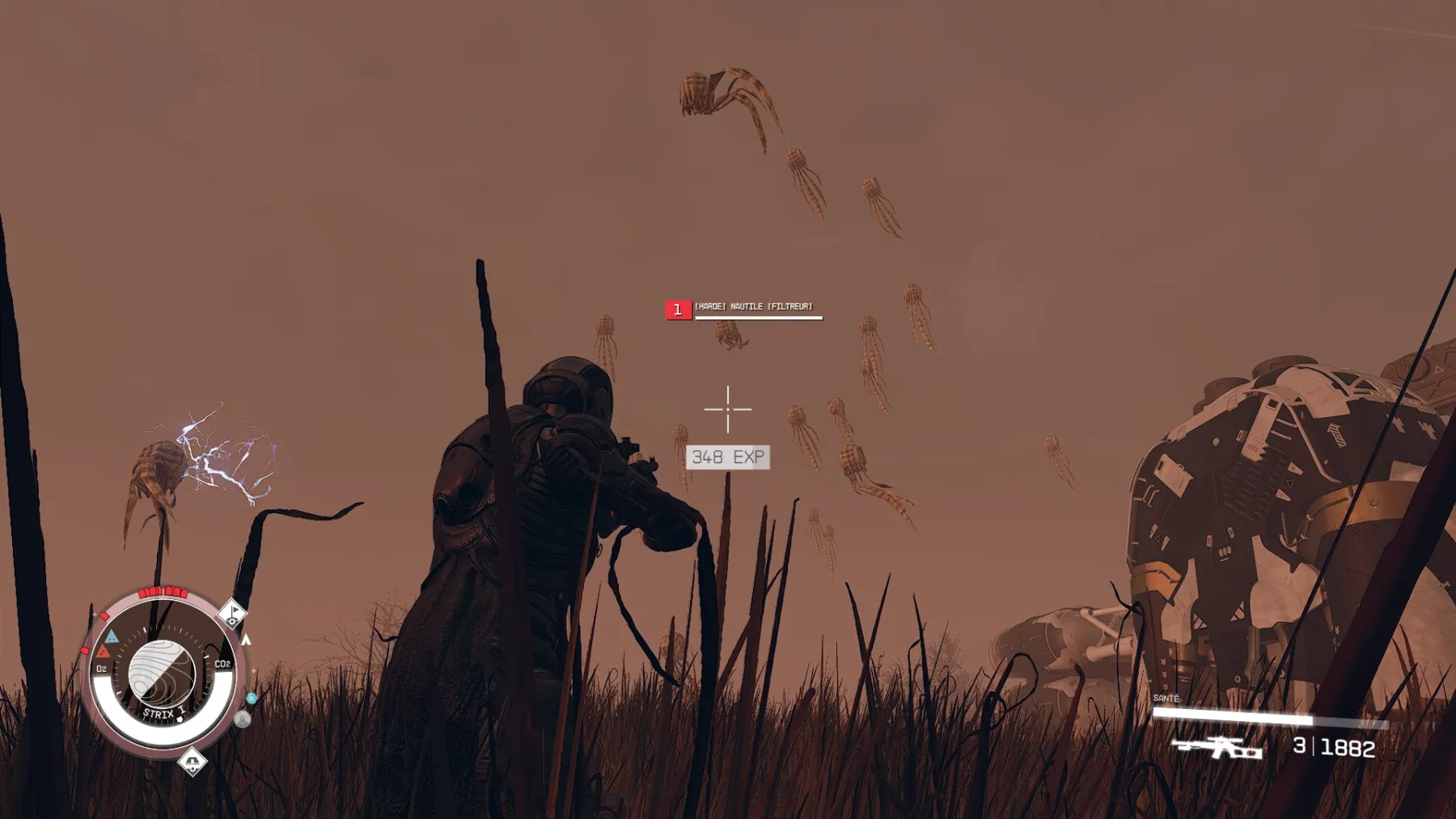 Image des créatures