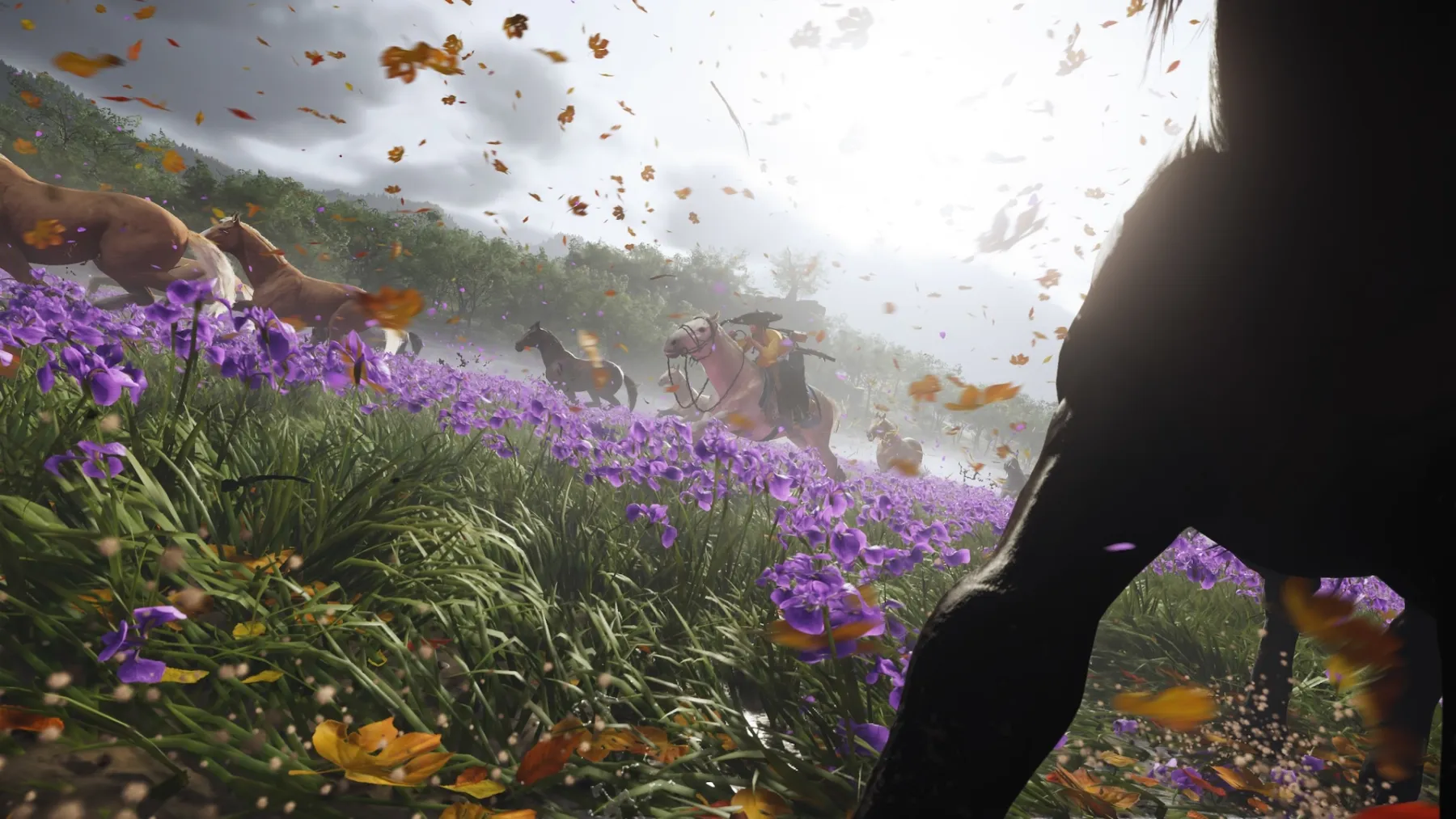 image du jeu Ghost of Yotei