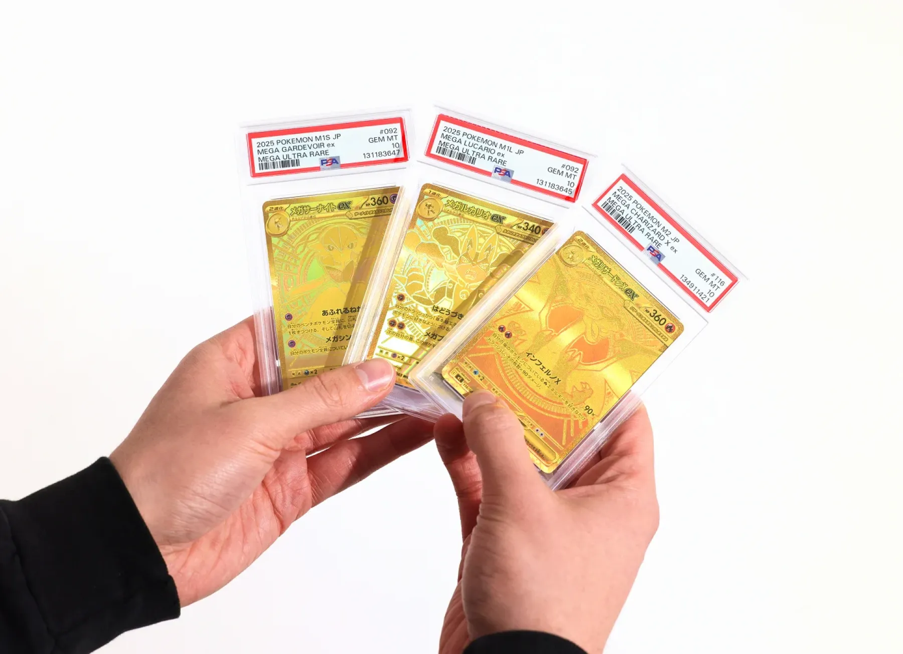 Image cartes Pokemon PSA Image cartes Pokemon PSA