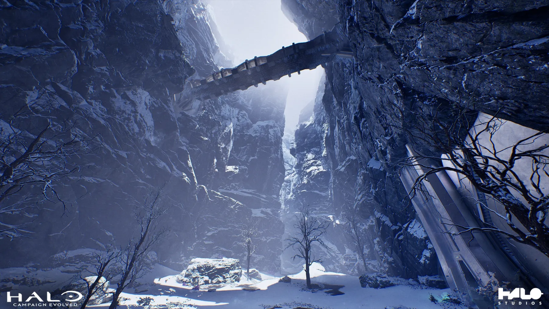 Image de Halo Campaign Evolved Image de Halo Campaign Evolved