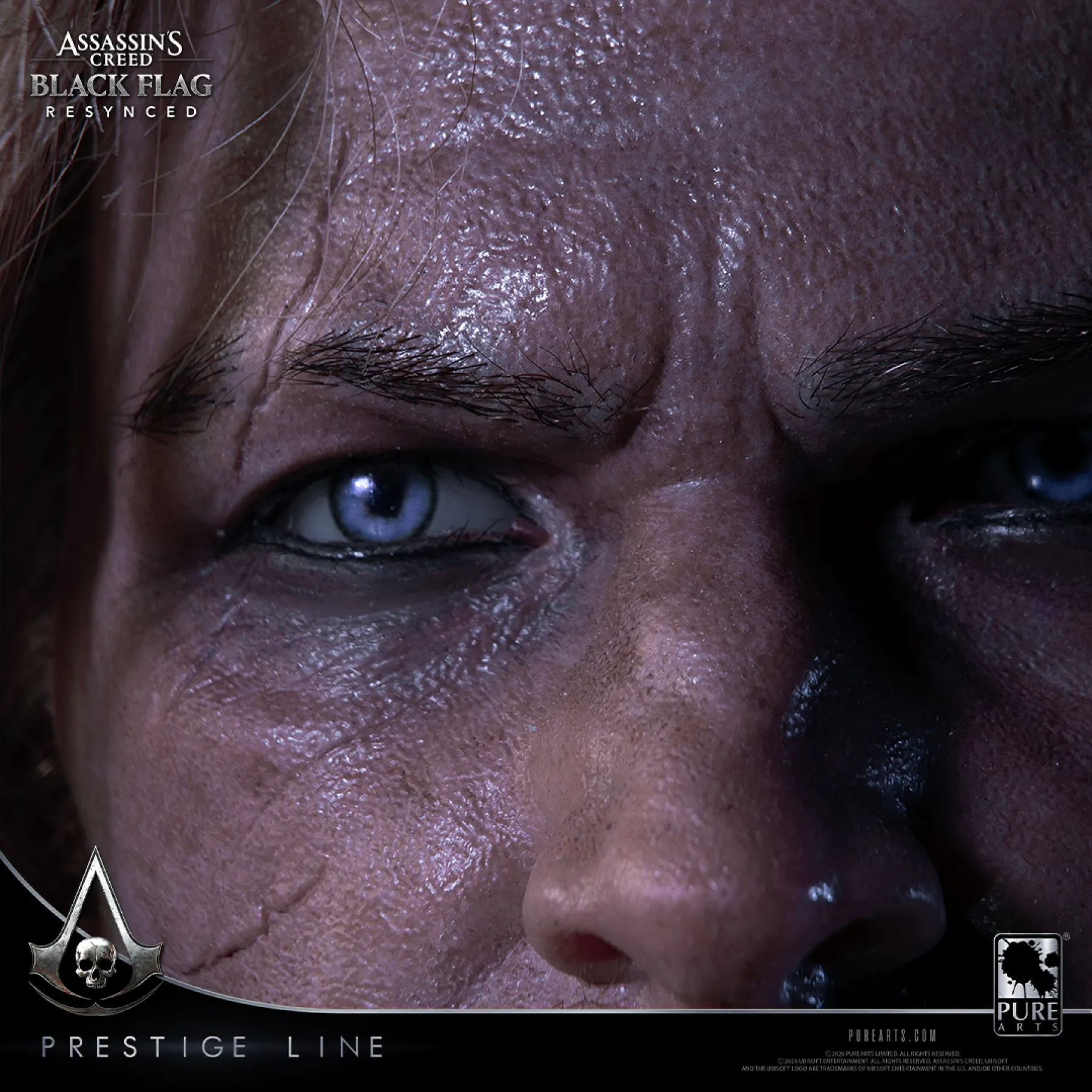 Image de la statue Assassin's Creed Black Flag