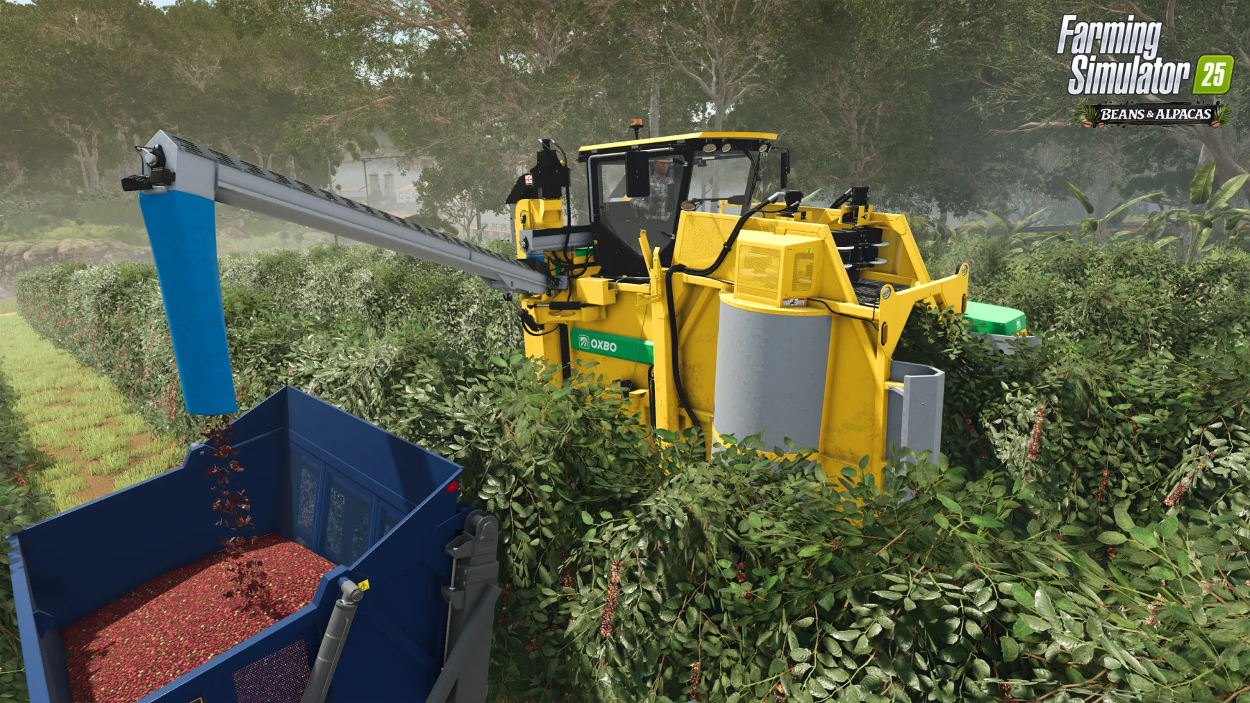 Farming Simulator 25 extension Beans & Alpacas