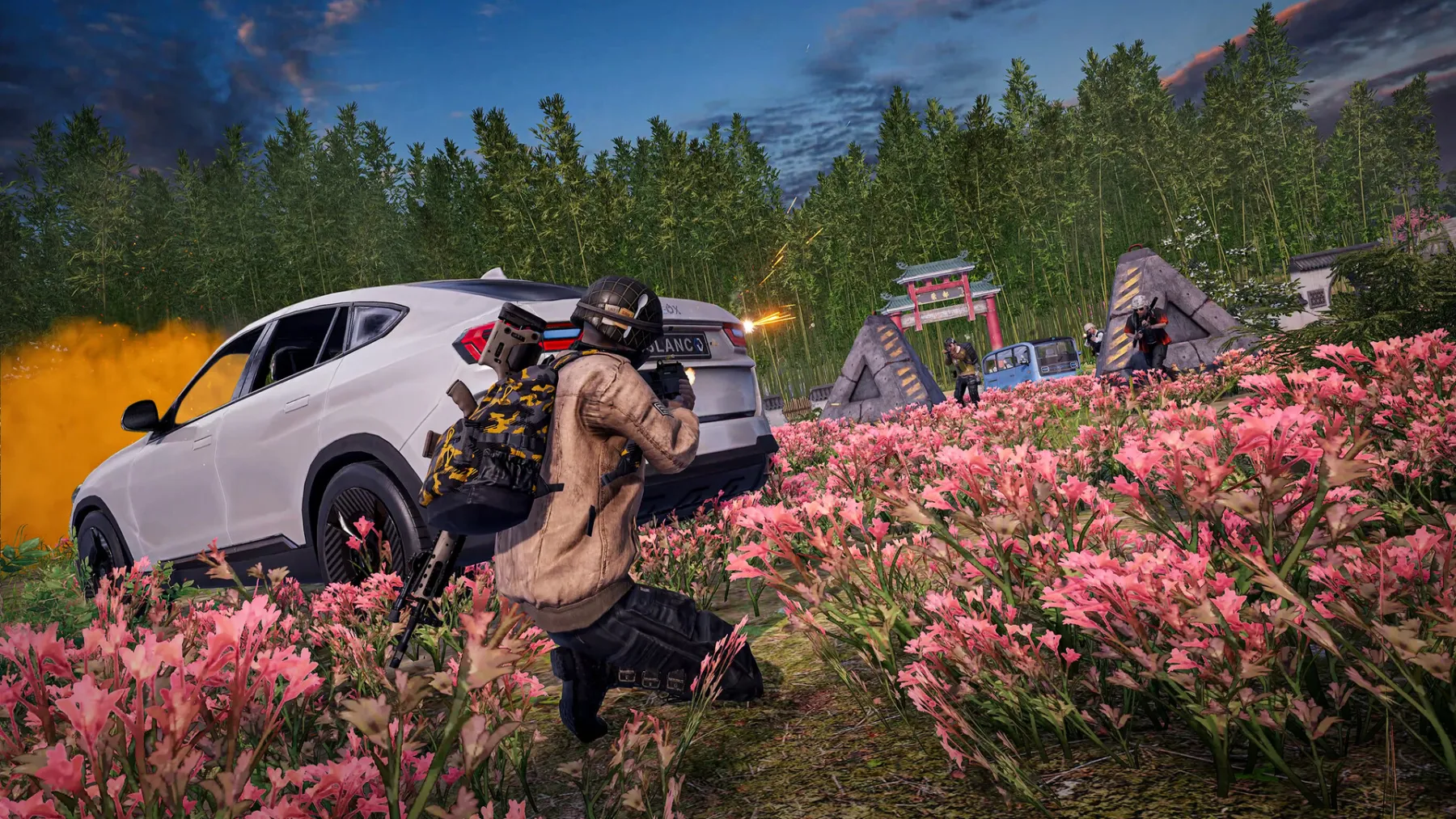 PUBG: BATTLEGROUNDS PUBG: BATTLEGROUNDS