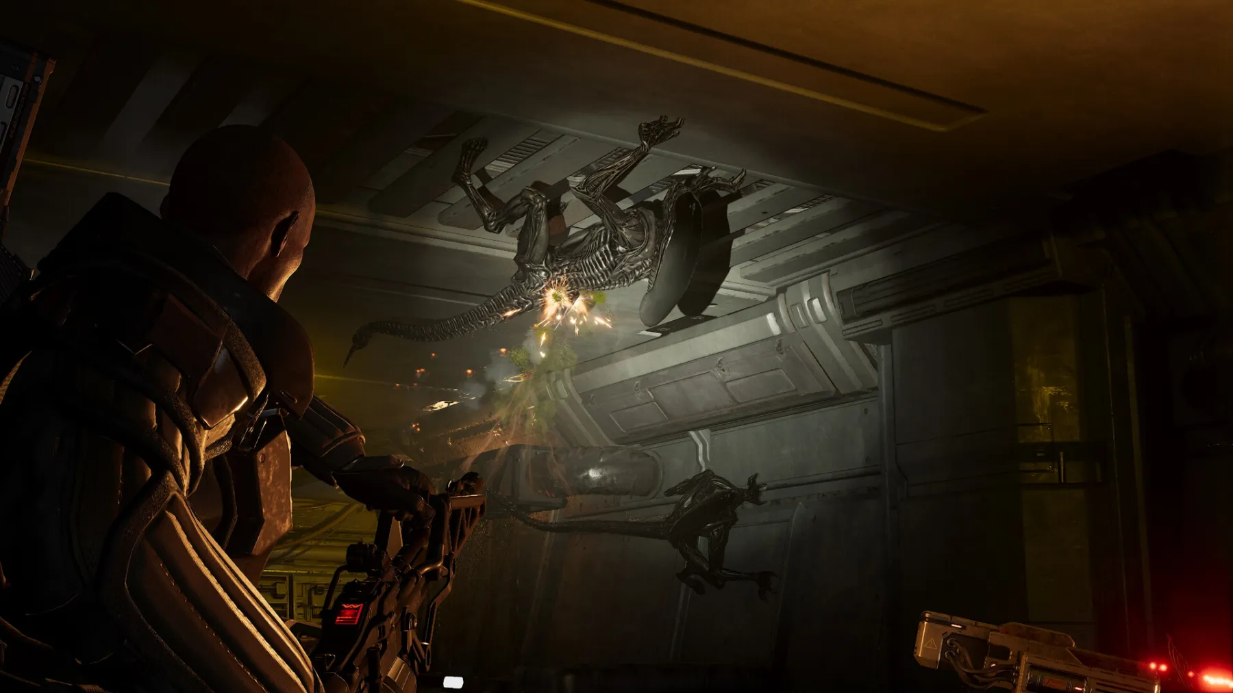 Aliens: Fireteam Elite 2 Aliens: Fireteam Elite 2