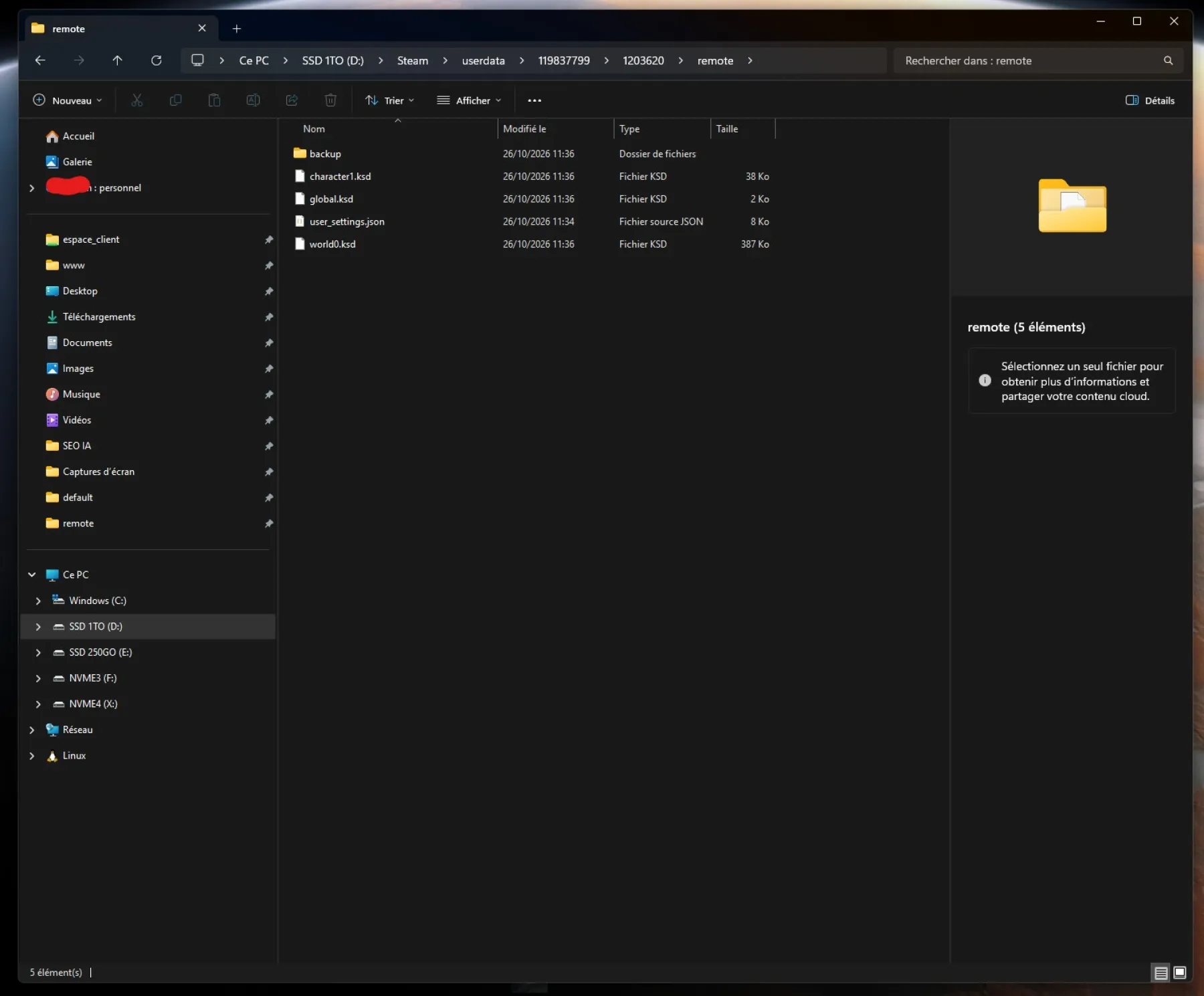 Dossier Steam AppData