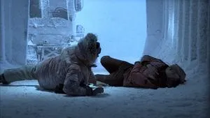 Celle qui venait du froid