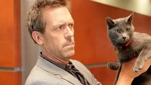 Un chat est un chat