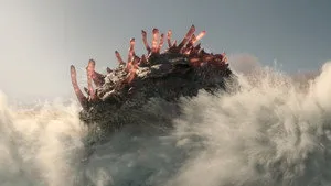 Des chemins différents