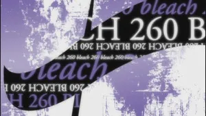Conclusion !? Hisagi contre Kazeshini !