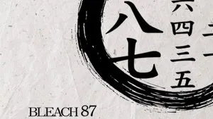Byakuya convoqué ! Les divisions du Gotei 13 s'organisent