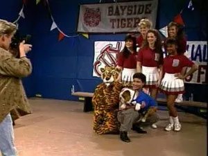 Le tigre aime les pom-poms