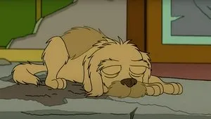 Ceux qui m'aiment prendront le chien