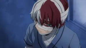 L'enfer des Todoroki