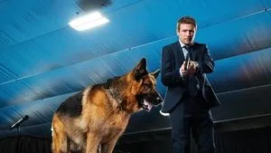 Concours canin