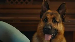 Épisode 5