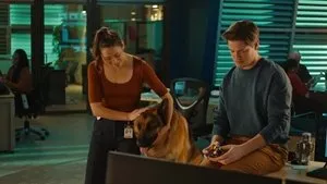 Épisode 8